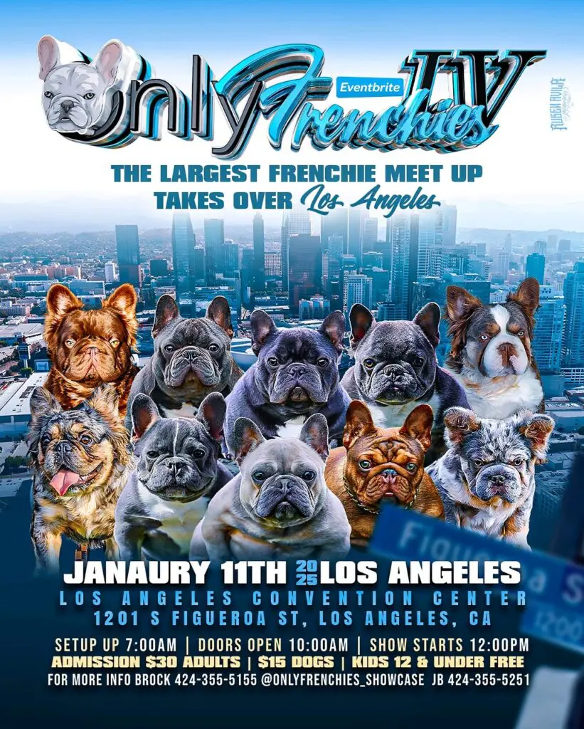 Onlyfrenchies French Bulldog Meet Up Los Angeles